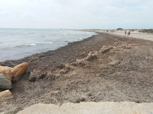 Visto bueno ambiental al acondicionamiento de la playa de La Llana