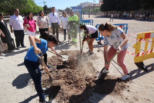 Rotary colabora con la plantación de pinos en centros escolares de San Pedro del Pinatar